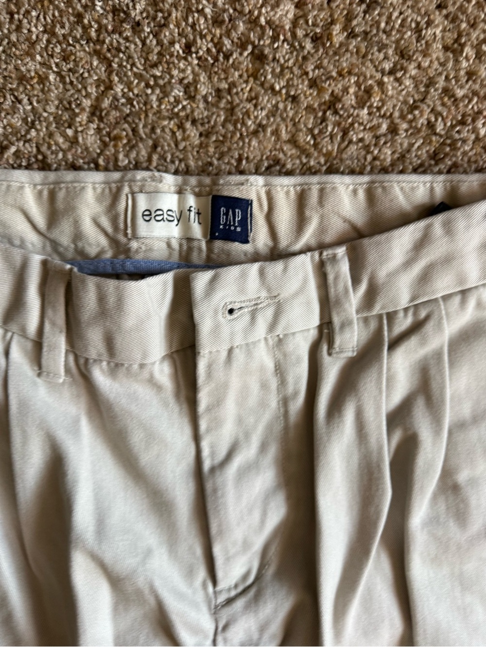 GAP Beige Easy Fit Chino Pants